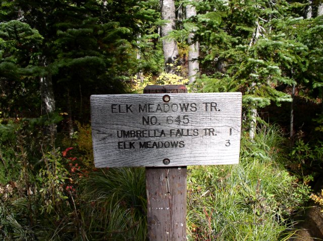 Newton Creek Oct 16 2005 043 